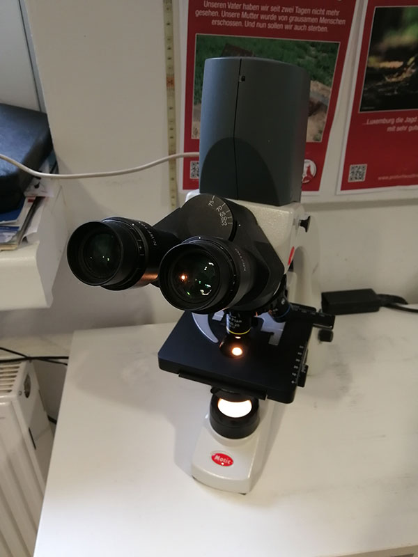 Digitales Mikroskopieren von Blut, Urin und Gewebe