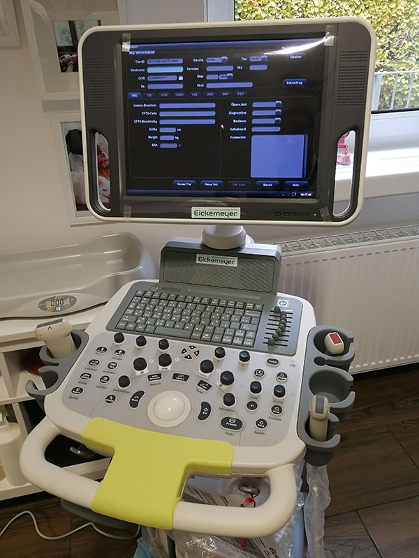 Ultraschalldiagnostik